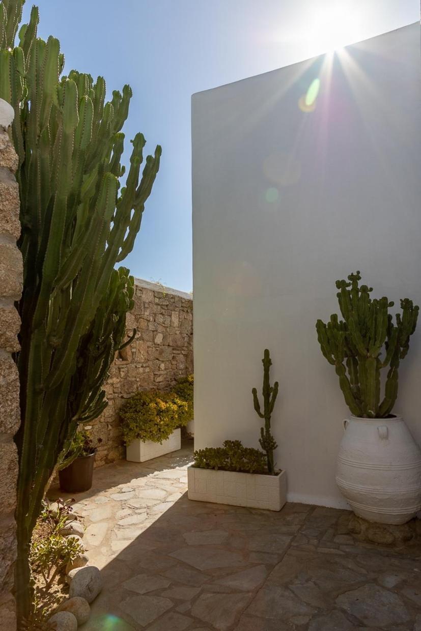 Villa Horizon In
